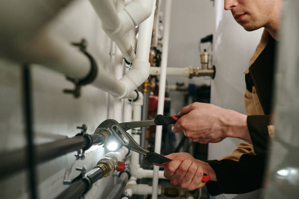 Best Plumbing Inspection Services  in Alamo, NV