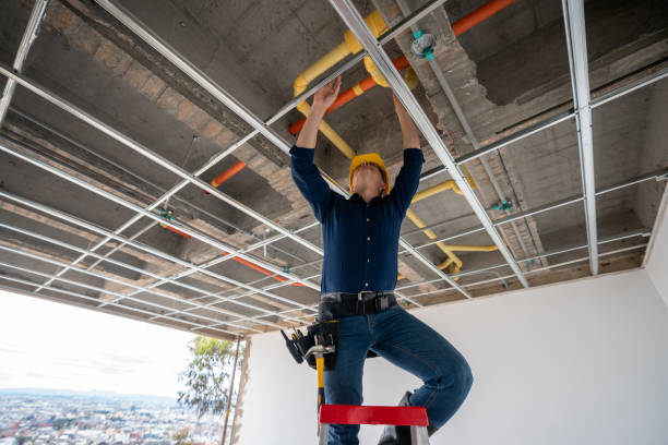 Best Emergency Plumber  in Alamo, NV